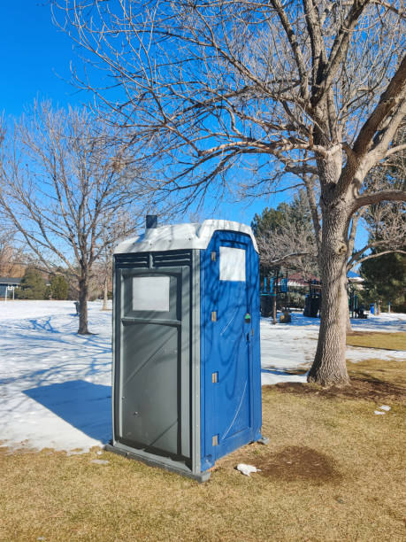 Best Portable Toilets for Disaster Relief Sites  in Imlay City, MI